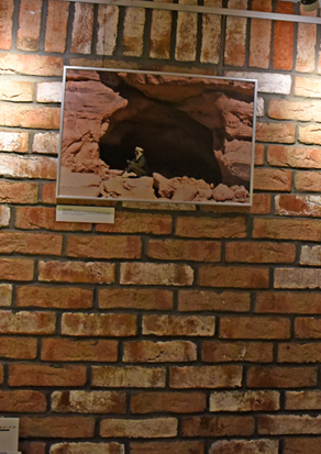 Exposition au restaurant du Raisin à Lausanne